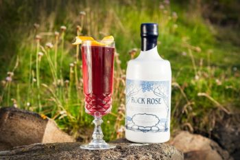 Bottle of Rock Rose Gin with VinChill Factor Cocktail served in a vintage glass and garnished with orange peel