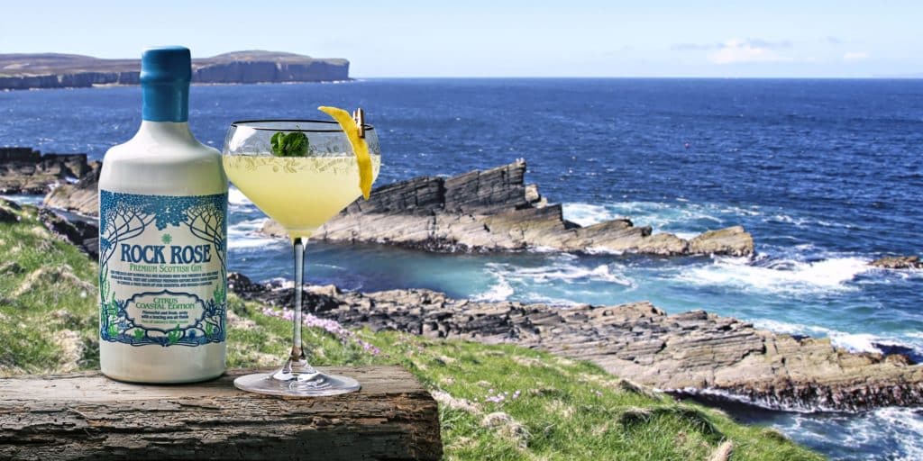 Lifestyle picture displaying a bottle of Rock Rose Gin Citrus Costal edition and a coupe glass of Bergamot South Side cocktail with the coast and the sea in the background